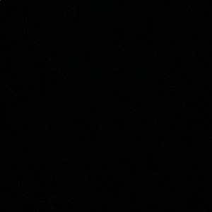 Meet your Posher, Rex